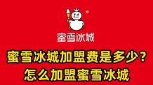 属于什么公司